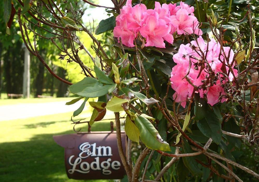 Elm Lodge Bright Dış mekan fotoğraf