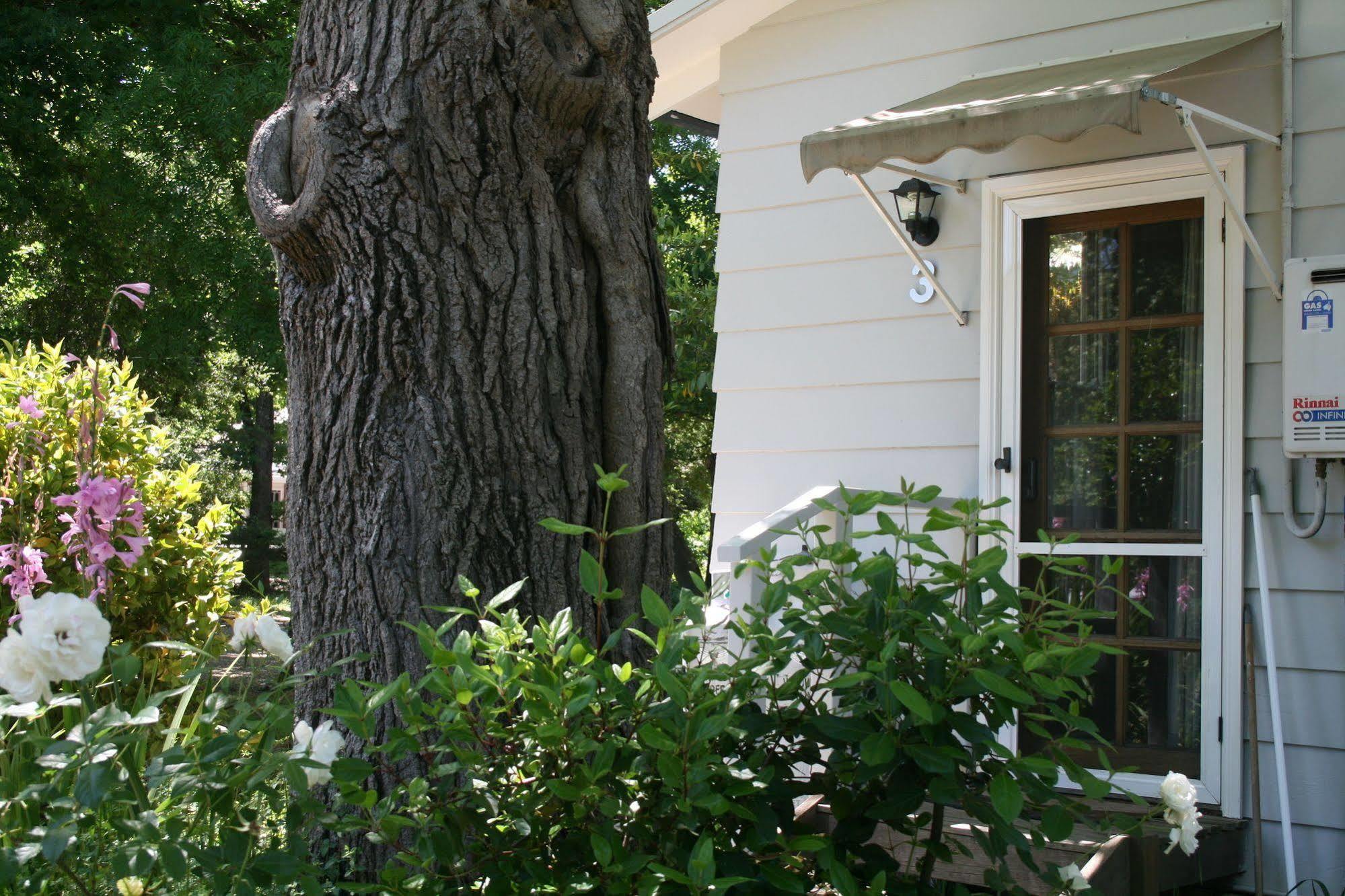 Elm Lodge Bright Dış mekan fotoğraf